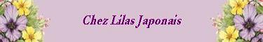 lilas japonais