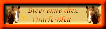 oracle bleu