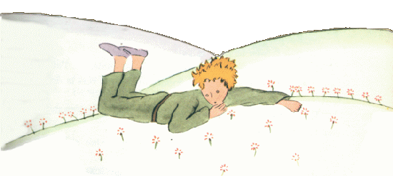 petit prince