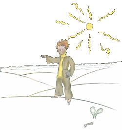 petit prince desert