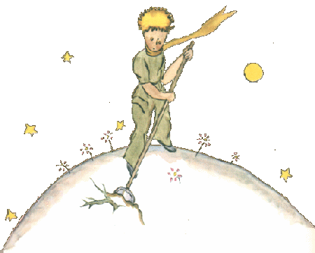 petit prince defriche