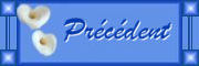 bouton_precedent