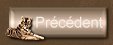 bouton precedent