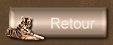 bouton retour
