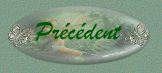 bouton precedent
