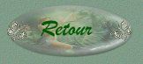bouton retour