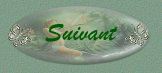 bouton suivant