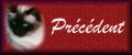 bouton_precedent